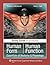 Study Guide to Accompany Human Form Human Function: Essentials of Anatomy & Physiology: .