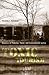 Toxic Tourism by Phaedra C. Pezzullo Toxic Tourism by Phaedra C. Pezzullo