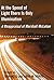 At the Speed of Light There is Only Illumination: A Reappraisal of Marshall McLuhan (Reappraisals: Canadian Writers)
