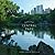 Seeing Central Park by Sara Cedar Miller