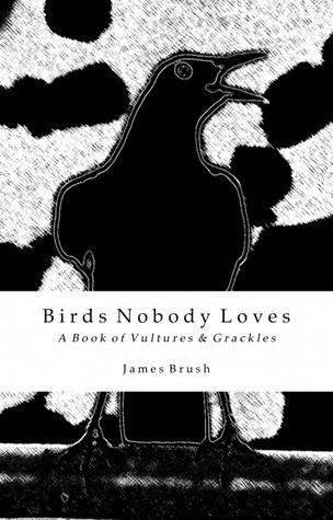 Birds Nobody Loves (Paperback)