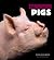 Extraordinary Pigs