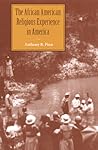 The African American Religious Experience in America (The History of African American Religions)
