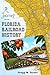 A Journey into Florida Rail...