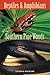 Reptiles and Amphibians of the Southern Pine Woods