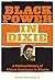 Black Power in Dixie by Alton Hornsby