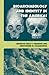 Bioarchaeology and Identity in the Americas (Bioarchaeological Interpretations of the Human Past: Local, Regional, and Global Perspectives)