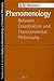 Phenomenology: Between Essentialism and Transcendental Philosophy (Studies in Phenomenology and Existential Philosophy)