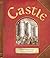 Castle: A Three-Dimensional Interactive Adventure