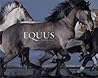 Equus