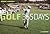 Golf 365 Days: A History