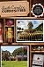 South Carolina Curiosities by Lee Davis Perry