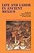 Life and Labor in Ancient Mexico