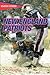 Stadium Stories: New England Patriots