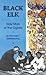 Black Elk: Holy Man of the ...