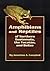 Amphibians and Reptiles of Northern Guatemala, the Yucatan, and Belize (Volume 4) (Animal Natural History Series)