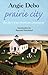 Prairie City by Angie Debo