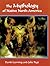 The Mythology of Native North America