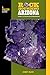Rockhounding Arizona: A Guide To 75 Of The State's Best Rockhounding Sites