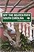 South Carolina Off the Beaten Path: A Guide to Unique Places