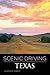 Scenic Driving Texas by Laurence Parent