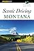 Scenic Driving Montana