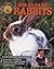 How to Raise Rabbits