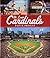 St. Louis Cardinals by Doug Feldmann