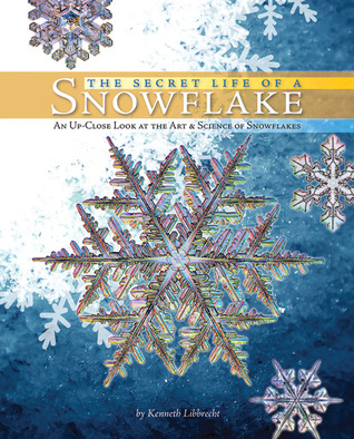 The Secret Life of a Snowflake: An Up-Close Look at the Art and Science of Snowflakes (Hardcover)