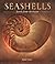 Seashells: Jewels from the ...
