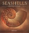 Seashells: Jewels from the Ocean Seashells: Jewels from the Ocean