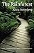The Rainforest by Alicia Steimberg