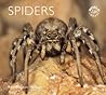 Spiders (Worldlife Library)