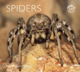 Spiders