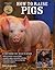 How to Raise Pigs