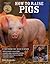 How to Raise Pigs by Philip Hasheider