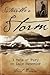 So Terrible a Storm A Tale of Fury on Lake Superior by Curt Brown
