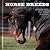 Horse Breeds: 65 Popular Ho...