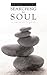 Searching for Soul: A Survi...