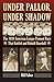 Under Pallor, Under Shadow: The 1920 American League Pennant Race That Rattled and Rebuilt Baseball