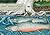 Bull Trout's Gift: A Salish...
