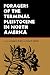 Foragers of the Terminal Pleistocene in North America