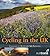 AA Cycling in the UK