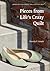 Pieces from Life's Crazy Quilt (American Lives)