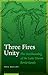 Three Fires Unity: The Anishnaabeg of the Lake Huron Borderlands (North American Indian Prose Award)