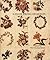 A Flowering of Quilts