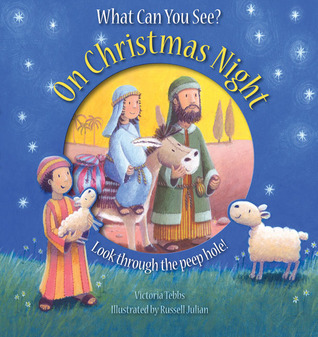 What Can You See? On Christmas Night (Hardcover)