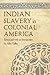 Indian Slavery in Colonial America by Alan Gallay