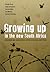 Growing Up in the New South Africa: Childhood and Adolescence in Post-Apartheid Cape Town