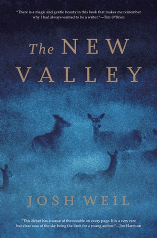 The New Valley: Novellas (Hardcover)